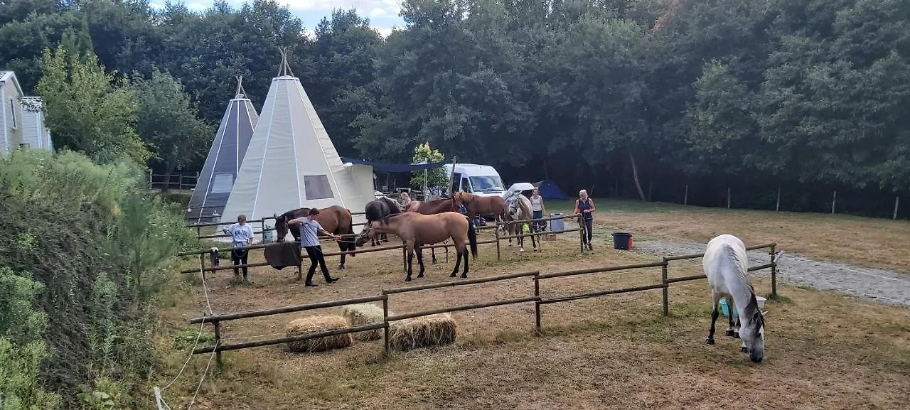 Camping Des Cerisiers Hotel Guillac